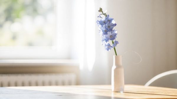 Cadeaux émotionnels : offrez une rose éternelle bleue